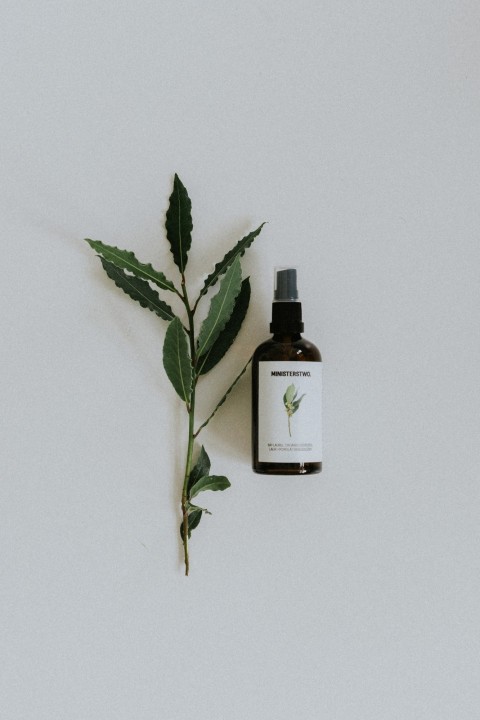 Bay Laurel - organic hydrosol