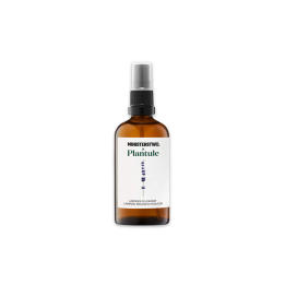Lavendel - Kissenspray M. x Plantule