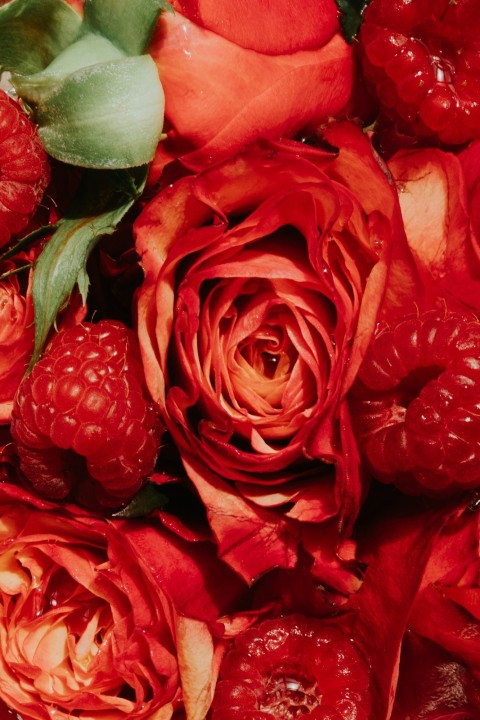 Rose-Raspberry - lip balm and mask