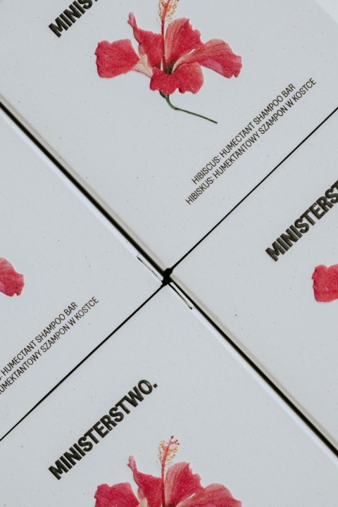 Hibiskus - Shampoo-Würfel