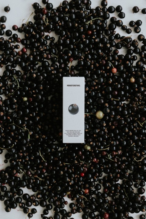 Black Currant Seed Oil