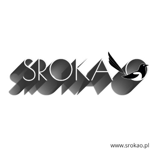 srokao.pl